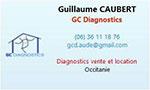 GC Diagnostics
